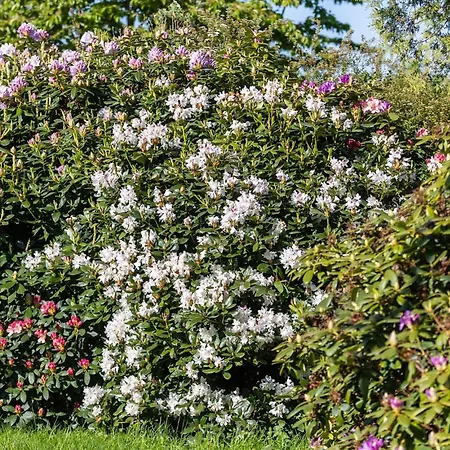 Prázdninový dům Gorgeous In Sydals With Wifi *